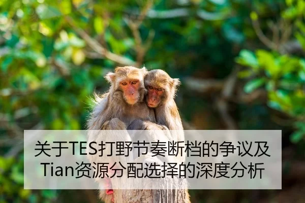 关于TES打野节奏断档的争议及Tian资源分配选择的深度分析